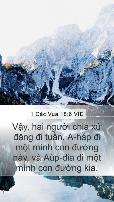1 Các Vua 18:6 VIE Mobile Phone Wallpaper - Vậy, hai người chia xứ đặng đi tuần. - Mobile Bible Verse Wallpaper