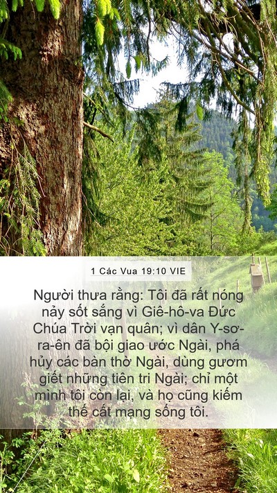 1 Các Vua 19:10 VIE Bible Verse Image