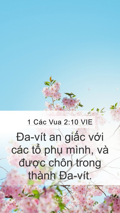 1 Các Vua 2:10 VIE Bible Verse Image