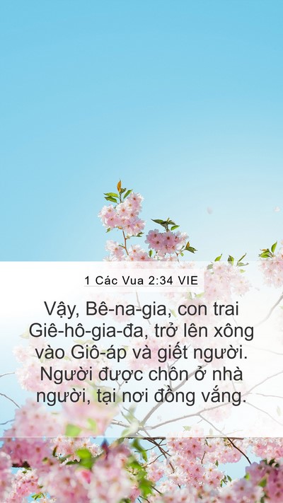 1 Các Vua 2:34 VIE Bible Verse Image