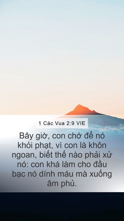 1 Các Vua 2:9 VIE Mobile Phone Wallpaper - Bây giờ, con chớ để nó khỏi phạt, - Mobile Bible Verse Wallpaper