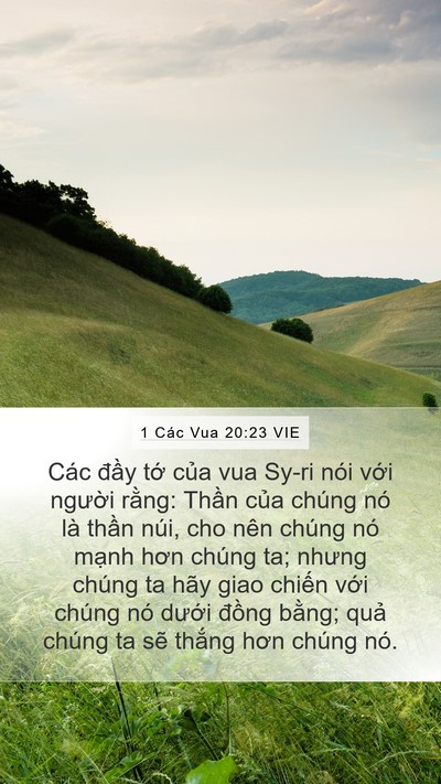 1 Các Vua 20:23 VIE Bible Verse Image