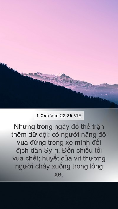 1 Các Vua 22:35 VIE Bible Verse Image