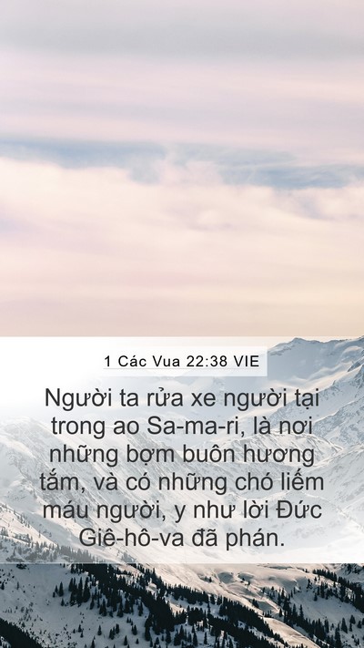 1 Các Vua 22:38 VIE Bible Verse Image