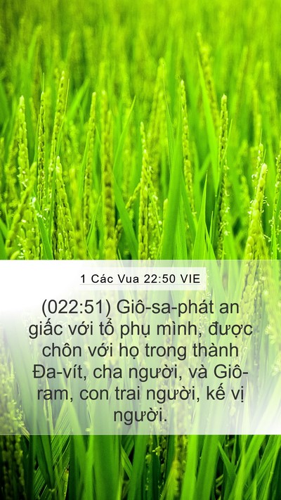 1 Các Vua 22:50 VIE Bible Verse Image