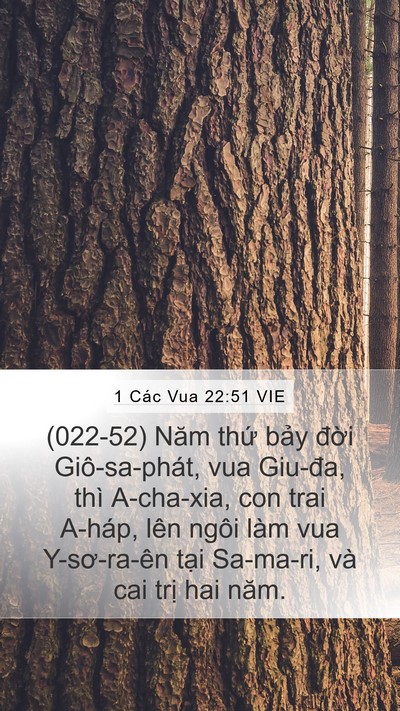 1 Các Vua 22:51 VIE Bible Verse Image
