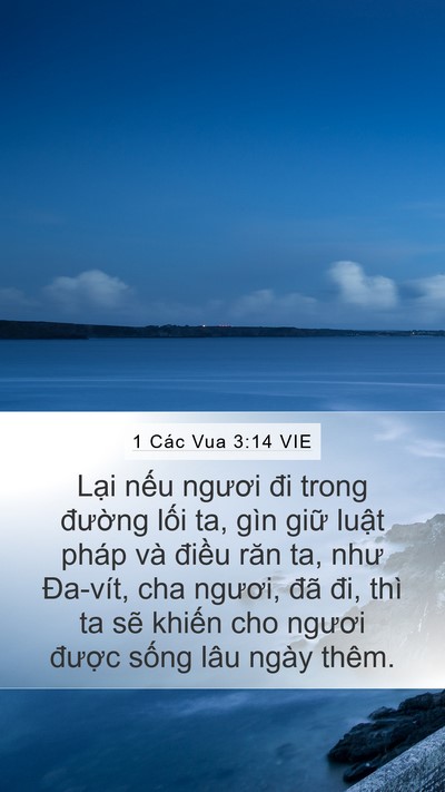 1 Các Vua 3:14 VIE Bible Verse Image