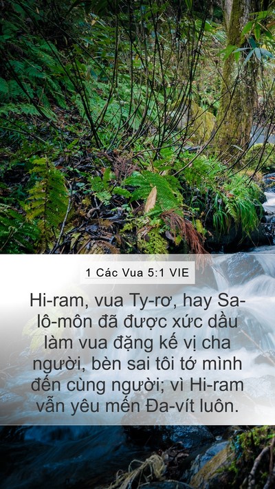 1 Các Vua 5:1 VIE Bible Verse Image
