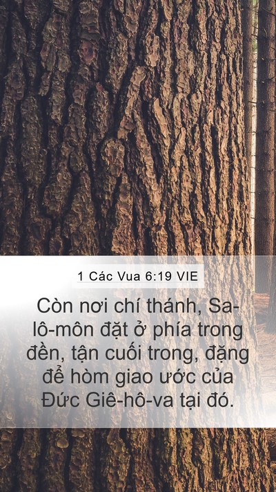 1 Các Vua 6:19 VIE Bible Verse Image