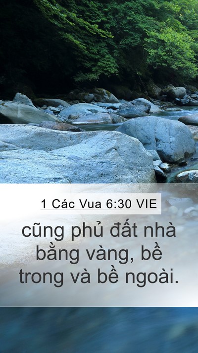 1 Các Vua 6:30 VIE Mobile Phone Wallpaper - cũng phủ đất nhà bằng vàng, bề trong - Mobile Bible Verse Wallpaper