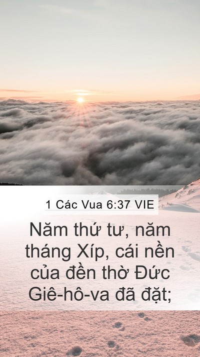 1 Các Vua 6:37 VIE Bible Verse Image