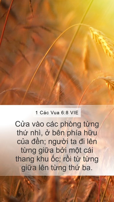 1 Các Vua 6:8 VIE Bible Verse Image