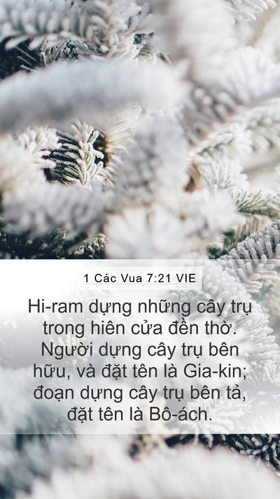 1 Các Vua 7:21 VIE Bible Verse Image