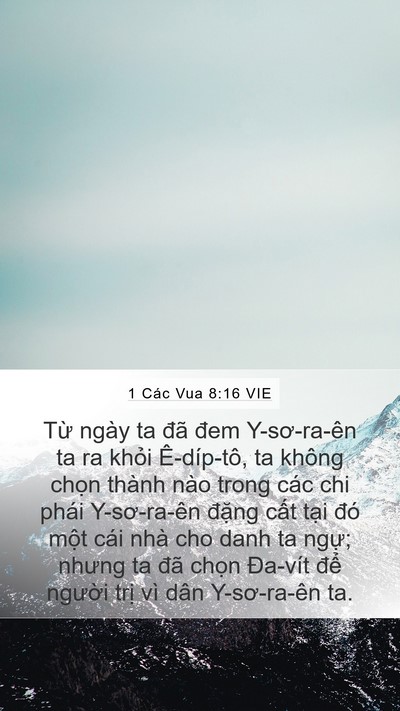 1 Các Vua 8:16 VIE Bible Verse Image