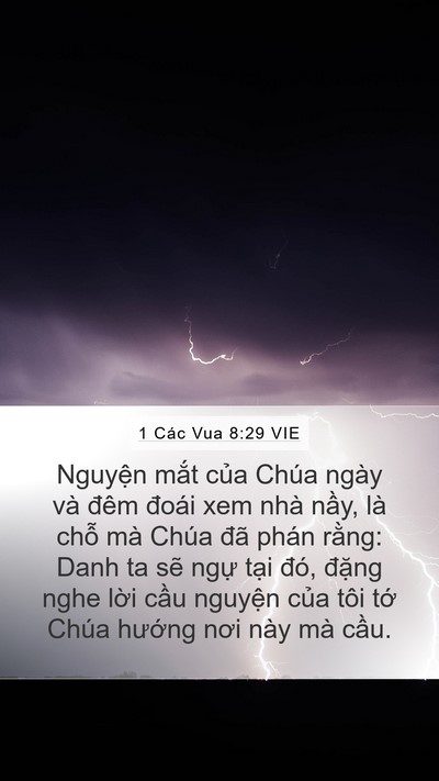 1 Các Vua 8:29 VIE Bible Verse Image