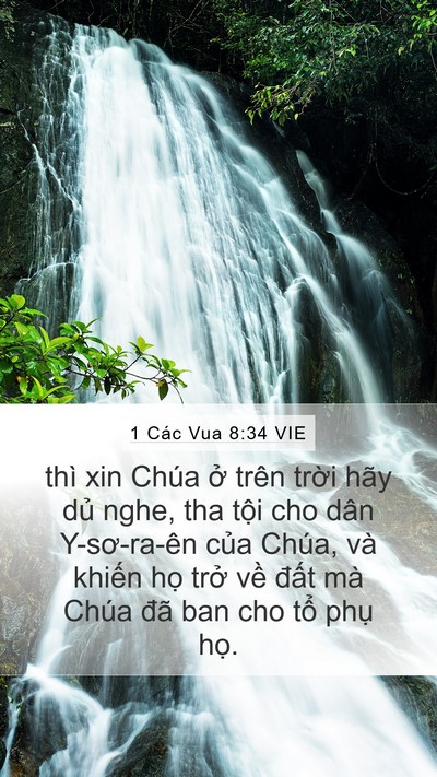 1 Các Vua 8:34 VIE Bible Verse Image