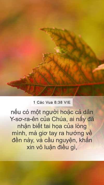 1 Các Vua 8:38 VIE Bible Verse Image