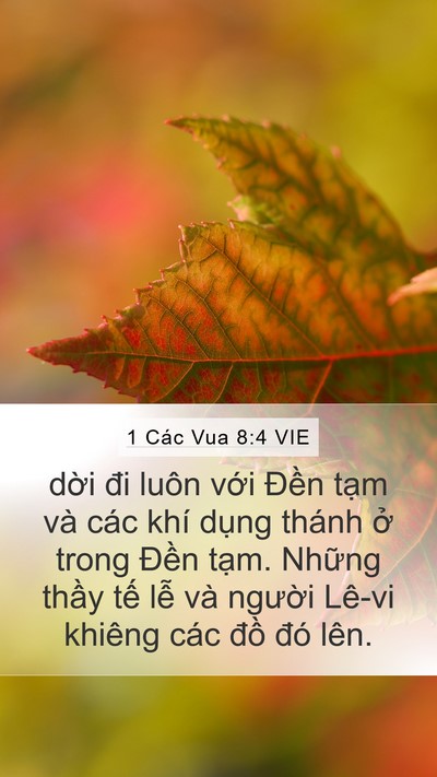 1 Các Vua 8:4 VIE Mobile Phone Wallpaper - dời đi luôn với Đền tạm và các khí - Mobile Bible Verse Wallpaper