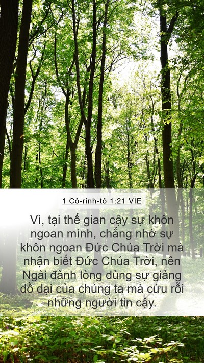 1 Cô-rinh-tô 1:21 VIE Bible Verse Image