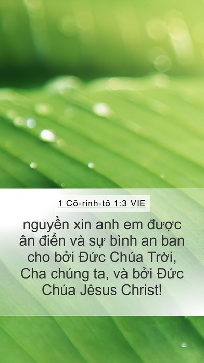 1 Cô-rinh-tô 1:3 VIE Bible Verse Image
