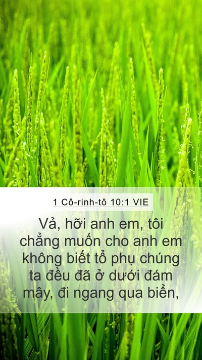 1 Cô-rinh-tô 10:1 VIE Bible Verse Image