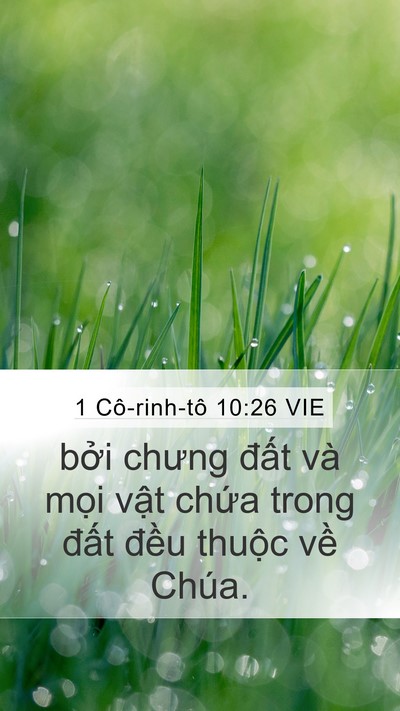 1 Cô-rinh-tô 10:26 VIE Bible Verse Image