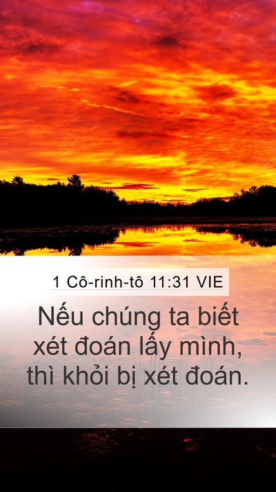 1 Cô-rinh-tô 11:31 VIE Bible Verse Image