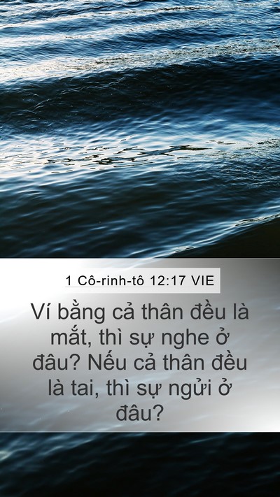 1 Cô-rinh-tô 12:17 VIE Mobile Phone Wallpaper - Ví bằng cả thân đều là mắt, thì sự - Mobile Bible Verse Wallpaper