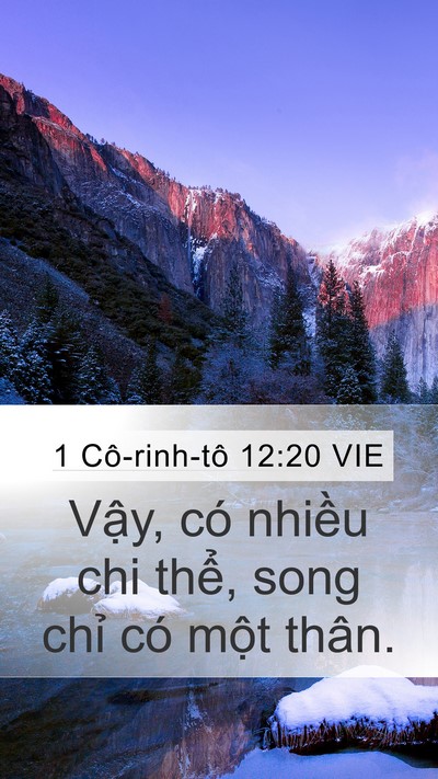 1 Cô-rinh-tô 12:20 VIE Bible Verse Image