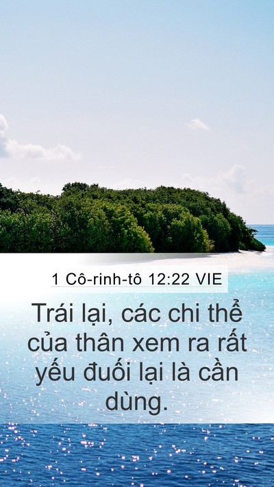 1 Cô-rinh-tô 12:22 VIE Mobile Phone Wallpaper - Trái lại, các chi thể của thân xem ra - Mobile Bible Verse Wallpaper