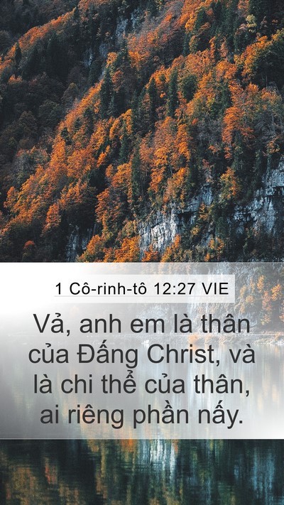 1 Cô-rinh-tô 12:27 VIE Bible Verse Image