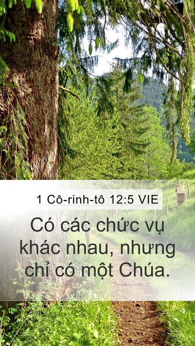 1 Cô-rinh-tô 12:5 VIE Bible Verse Image