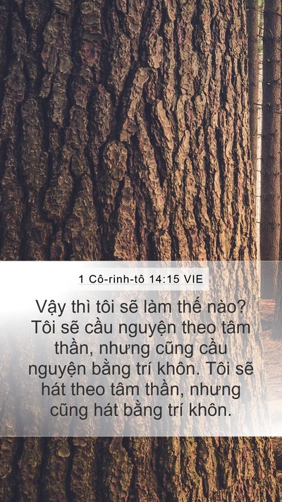 1 Cô-rinh-tô 14:15 VIE Bible Verse Image