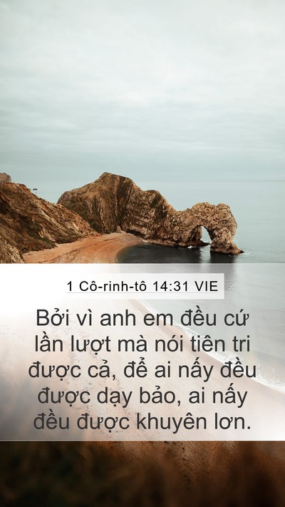 1 Cô-rinh-tô 14:31 VIE Mobile Phone Wallpaper - Bởi vì anh em đều cứ lần lượt mà - Mobile Bible Verse Wallpaper