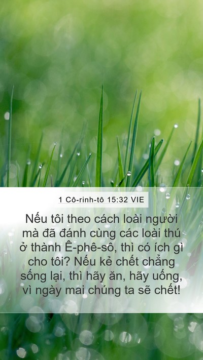 1 Cô-rinh-tô 15:32 VIE Bible Verse Image