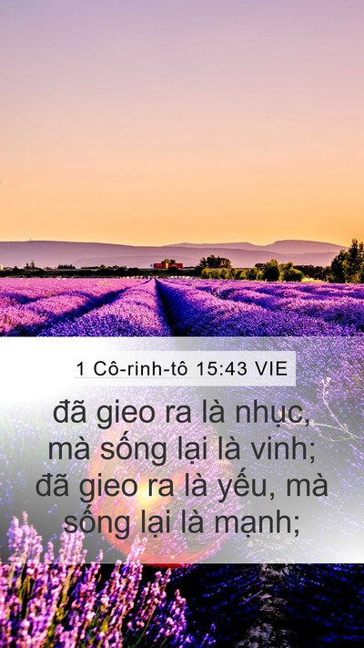 1 Cô-rinh-tô 15:43 VIE Bible Verse Image