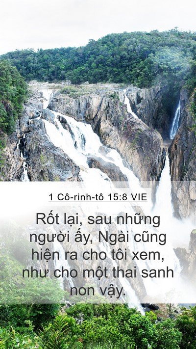 1 Cô-rinh-tô 15:8 VIE Bible Verse Image