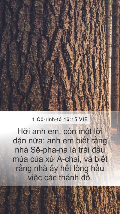 1 Cô-rinh-tô 16:15 VIE Bible Verse Image