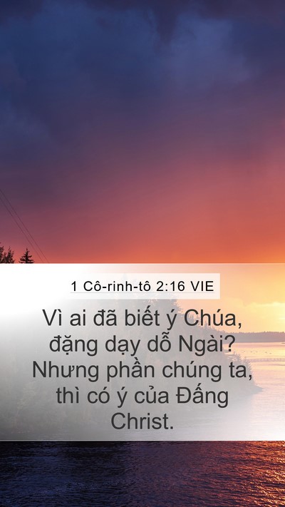 1 Cô-rinh-tô 2:16 VIE Mobile Phone Wallpaper - Vì ai đã biết ý Chúa, đặng dạy dỗ - Mobile Bible Verse Wallpaper