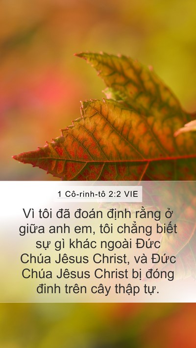 1 Cô-rinh-tô 2:2 VIE Bible Verse Image