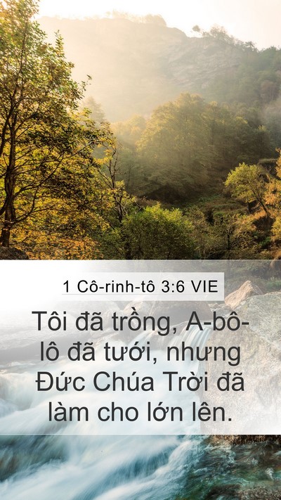 1 Cô-rinh-tô 3:6 VIE Bible Verse Image