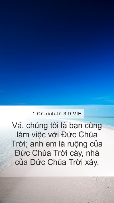 1 Cô-rinh-tô 3:9 VIE Bible Verse Image