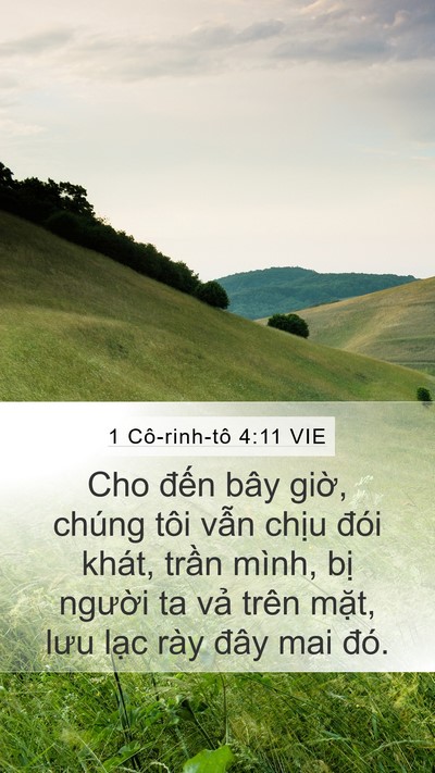 1 Cô-rinh-tô 4:11 VIE Bible Verse Image