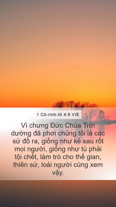 1 Cô-rinh-tô 4:9 VIE Bible Verse Image