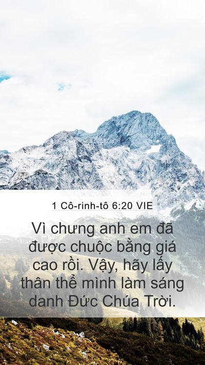 1 Cô-rinh-tô 6:20 VIE Bible Verse Image