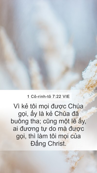 1 Cô-rinh-tô 7:22 VIE Bible Verse Image