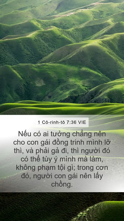 1 Cô-rinh-tô 7:36 VIE Mobile Phone Wallpaper - Nếu có ai tưởng chẳng nên cho con gái - Mobile Bible Verse Wallpaper