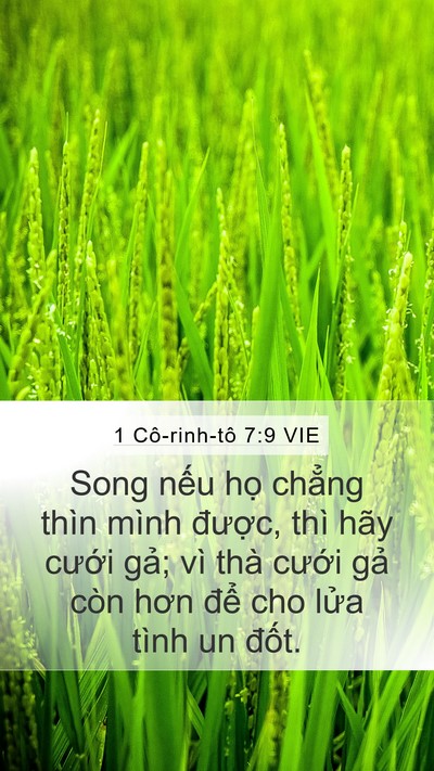1 Cô-rinh-tô 7:9 VIE Bible Verse Image