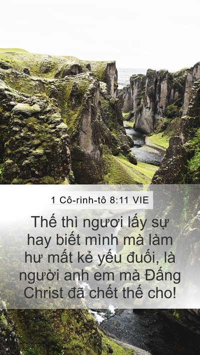 1 Cô-rinh-tô 8:11 VIE Bible Verse Image