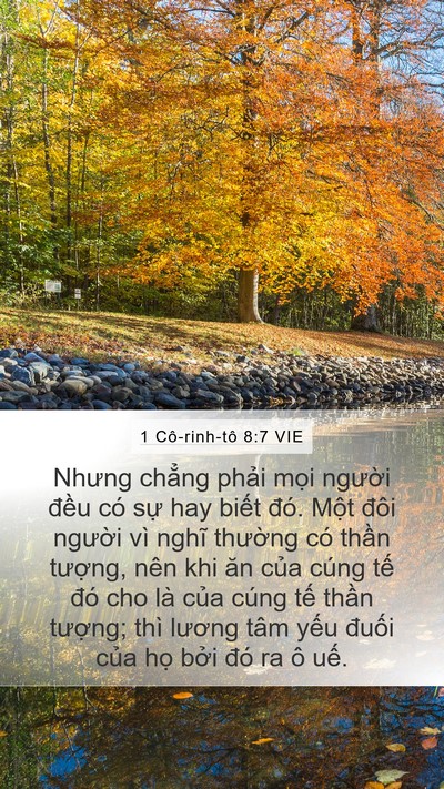 1 Cô-rinh-tô 8:7 VIE Bible Verse Image